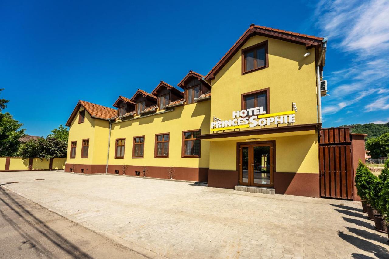 Hotel Princessophie Sighisoara Ngoại thất bức ảnh